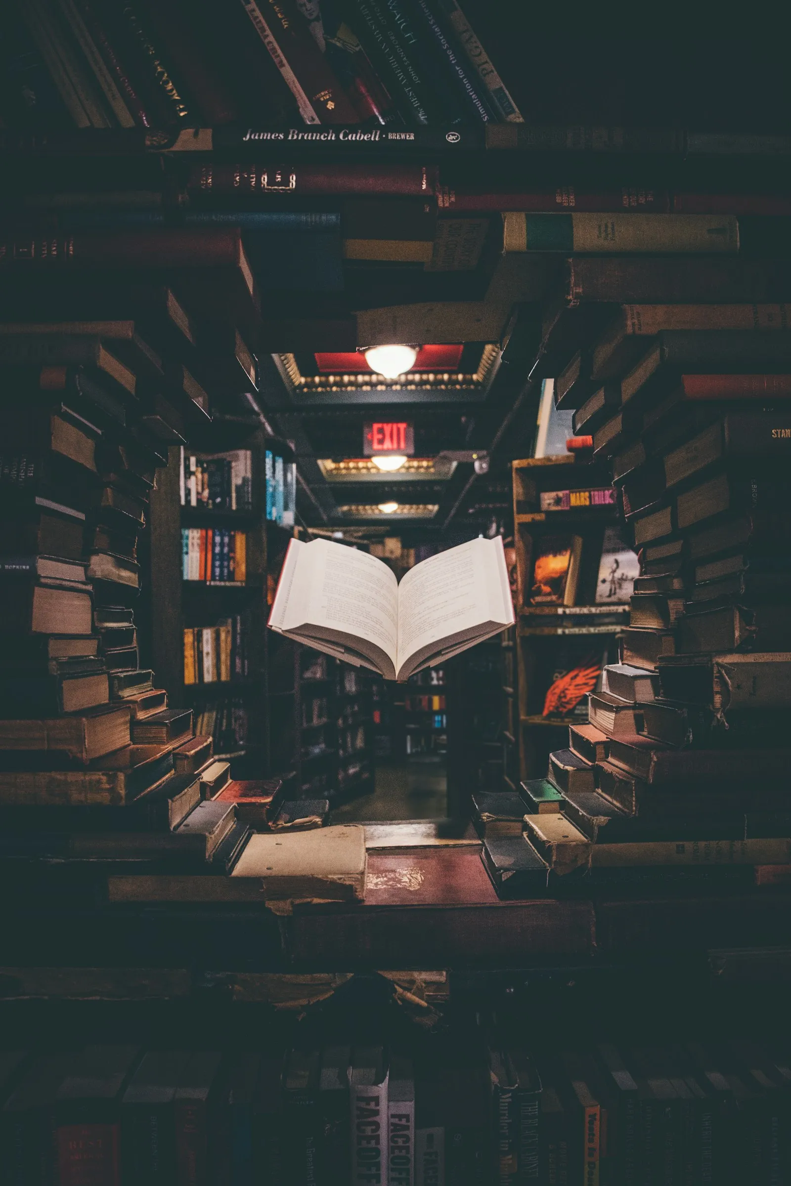 How to Survive the Literature Review: A Systematic Strategy for Scopus-Grade Research